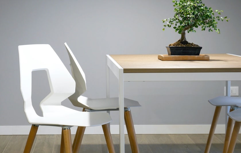 white chairs with a white table and a bonsai tree