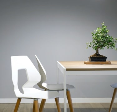 white chairs with a white table and a bonsai tree